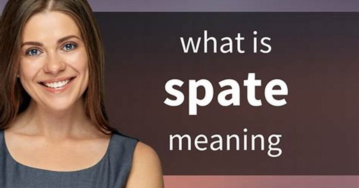 Was Does Spate Mean?