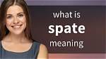 Was Does Spate Mean?