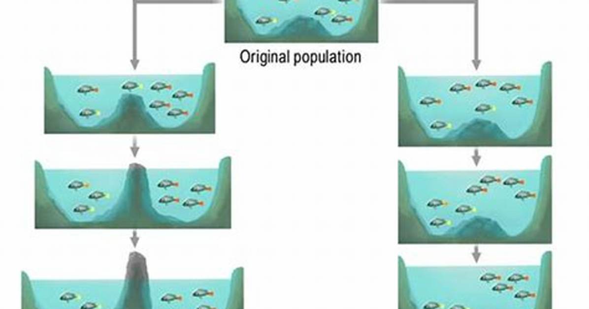 Was Does Speciation Mean?