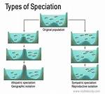 Was Does Speciation Mean?