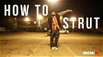 Was Does Strutted Mean?