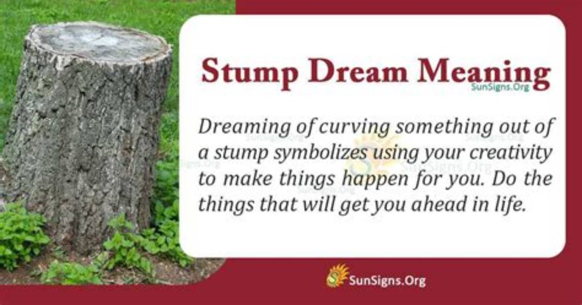 Was Does Stump Mean?