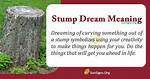 Was Does Stump Mean?