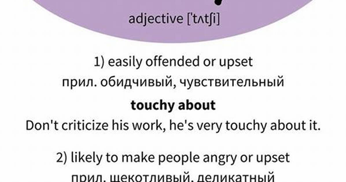 Was Does Touchy Mean?