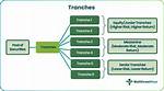 Was Does Tranche Mean?