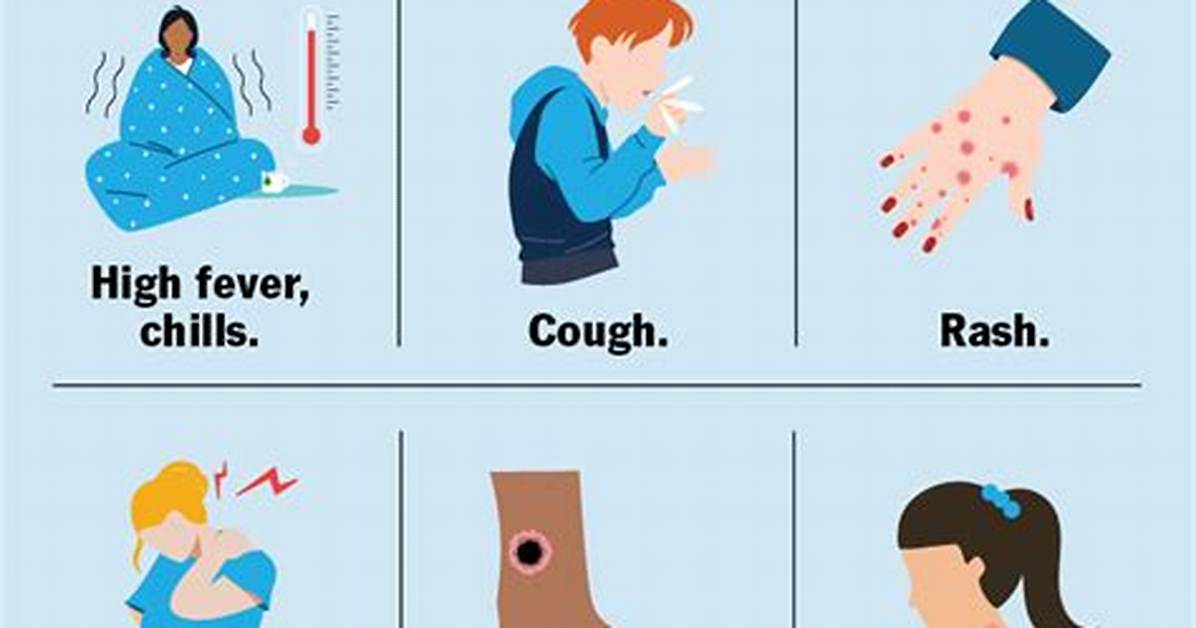 Was Does Typhus Mean?