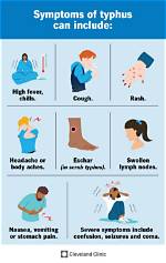 Was Does Typhus Mean?