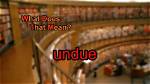Was Does Undue Mean?
