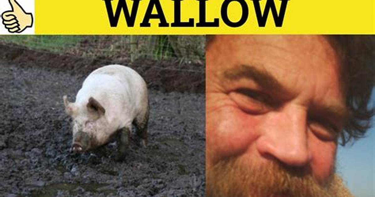 Was Does Wallow Mean?