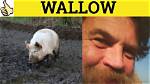 Was Does Wallow Mean?