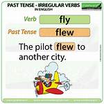 Was Fly or Flew?