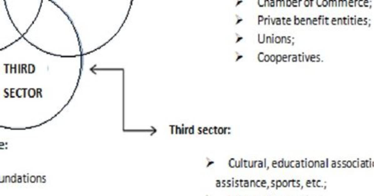 Was Is Third Sector?