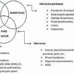 Was Is Third Sector?