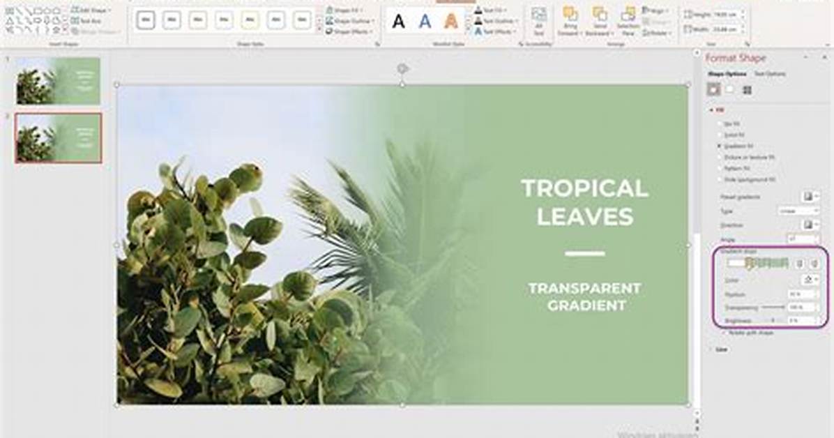 Was Ist Eine Transparency?