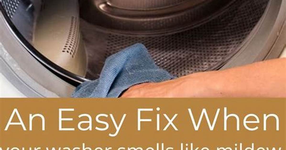Washer Smells Like Mildew