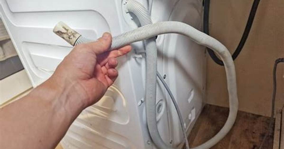 Washing Machine Drain