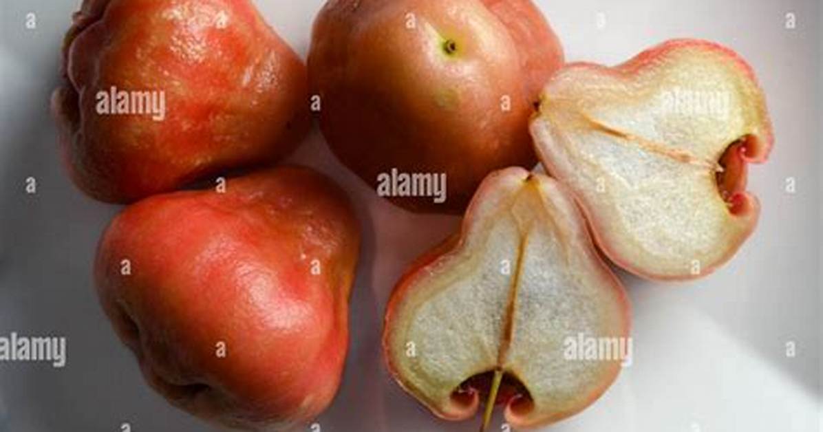 Wax Apples