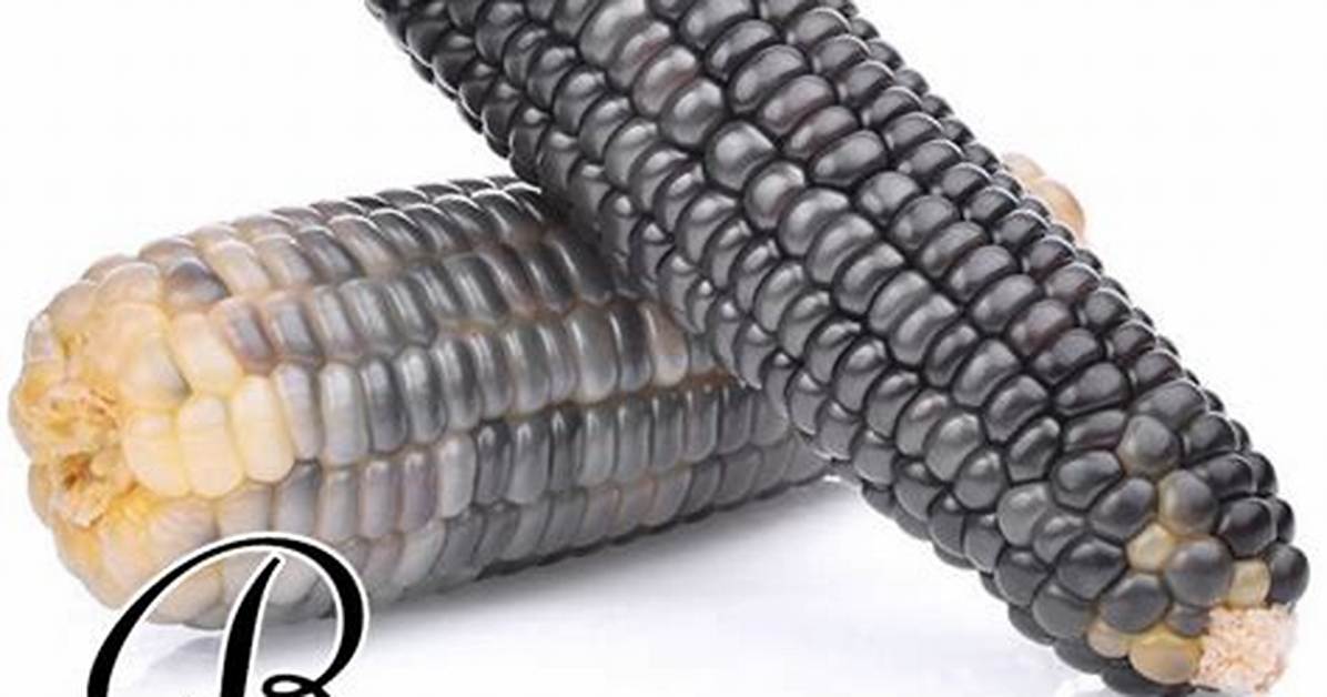 Waxy Maize
