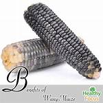 Waxy Maize