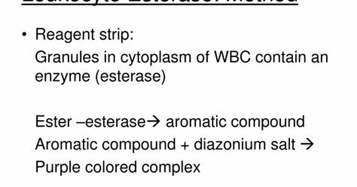 Wbc Esterase Trace