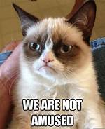 We ___ Not Amused