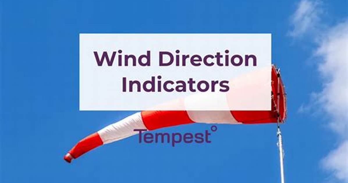 Weather ___ (Wind Direction Indicator)
