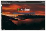Web Developer Tools in Midori Web Browser