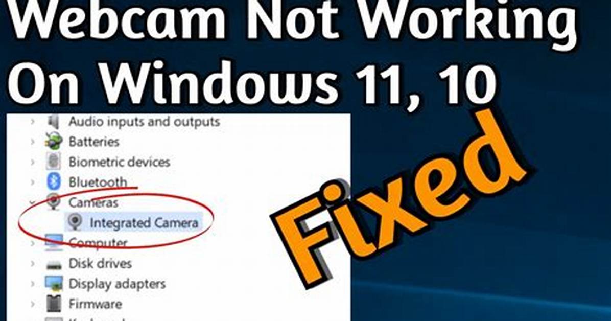 Webcam Not Working