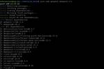 Webpack - Webpack-Dev-Server: Command Not Found