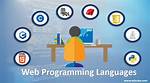 Website Programming Language