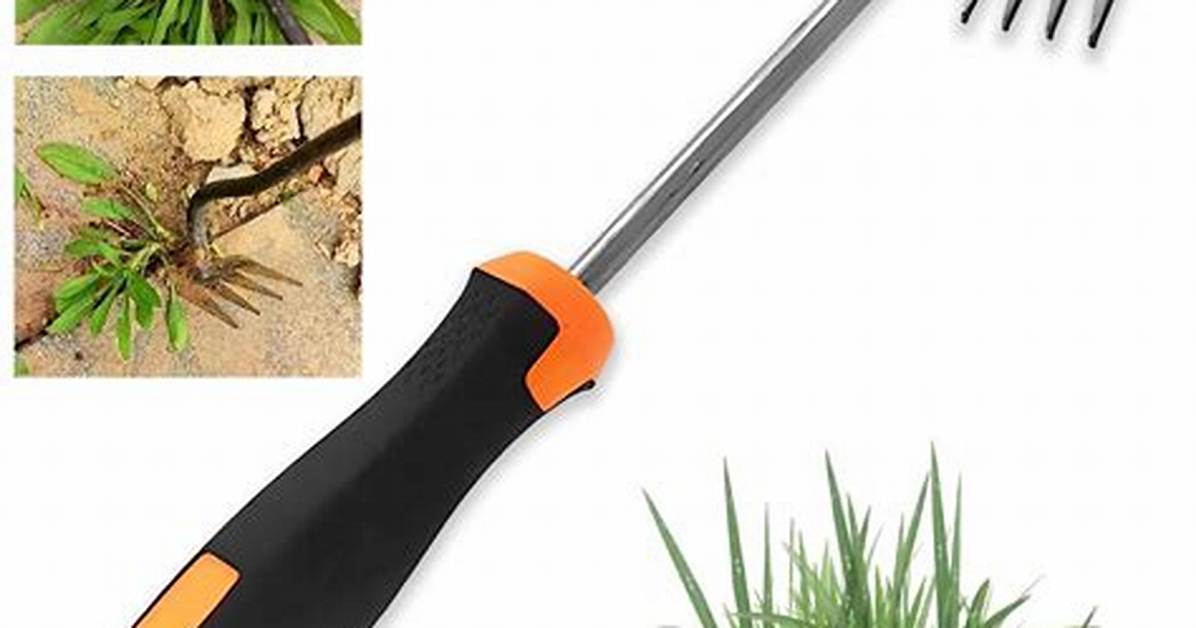 Weed-Removing Tool