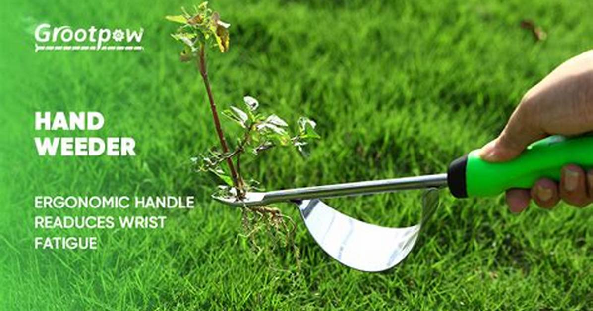 Weeder's Tool