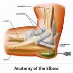 Weenus Elbow