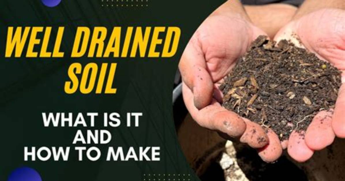 Well Drained Soil