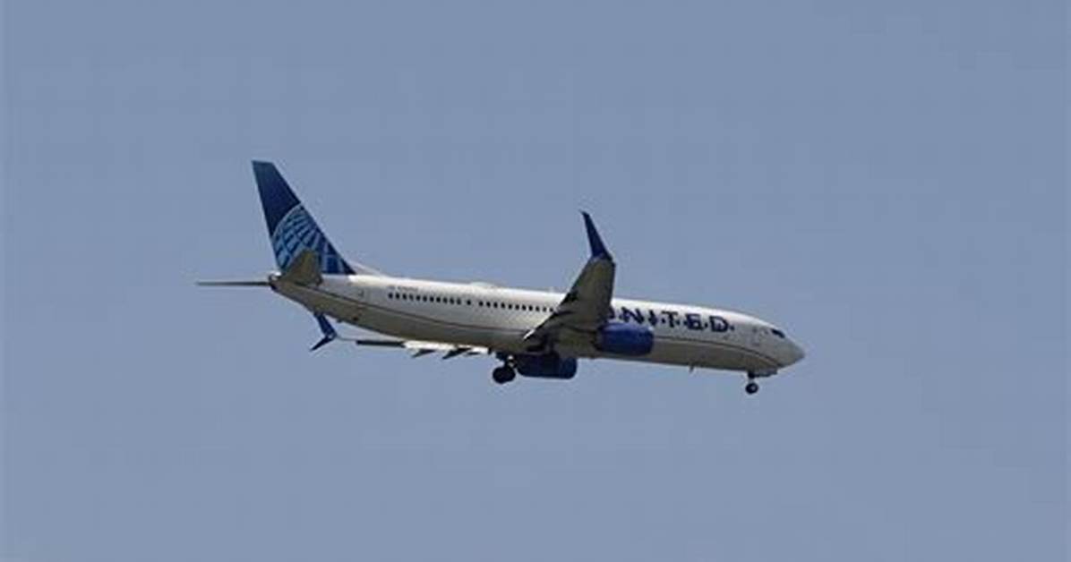 Went by Plane