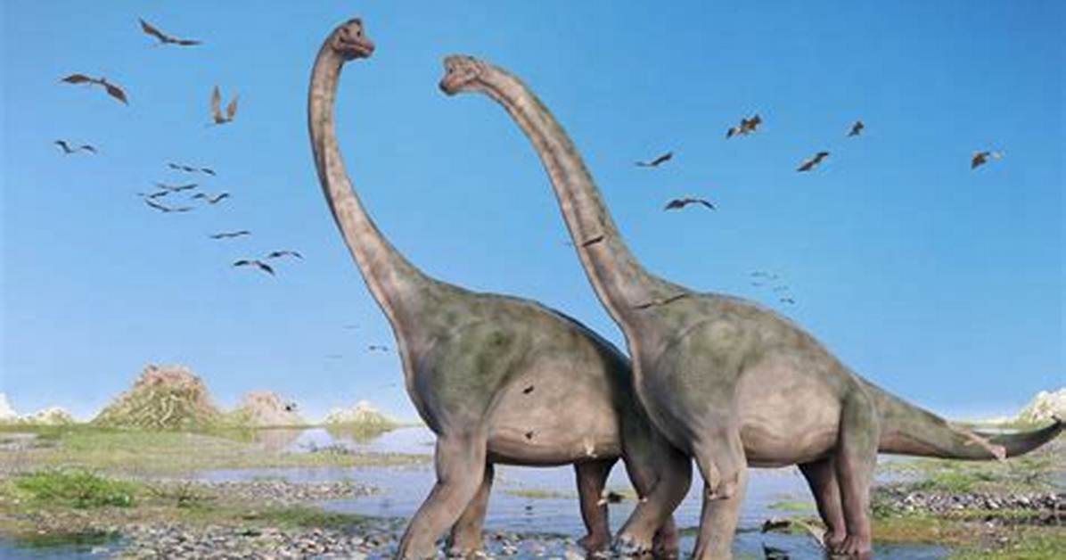 Were Do Brachiosaurus Live?