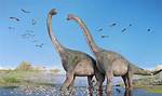 Were Do Brachiosaurus Live?