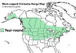 Were Do Chickadees Live?