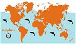 Were Do Dolphins Live?
