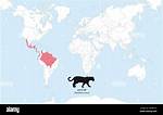 Were Do Jaguars Live?