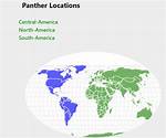 Were Do Panthers Live?