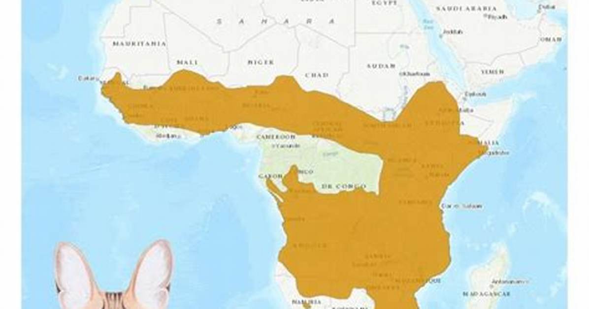 Were Do Servals Live?