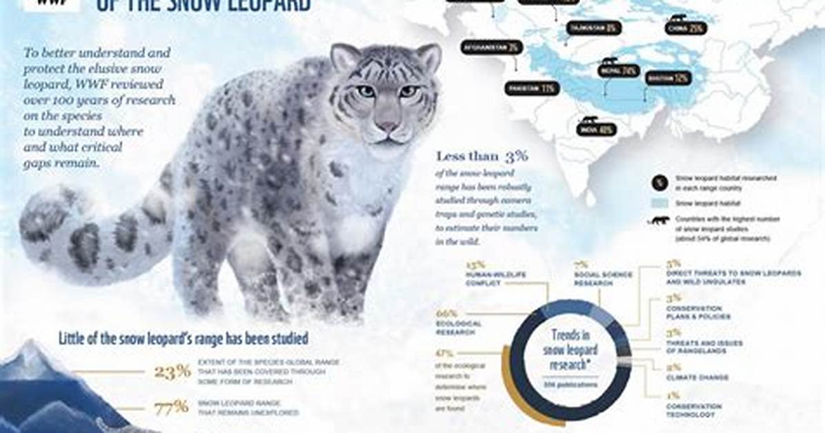 Were Do Snow Leopard?