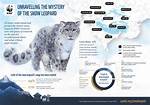 Were Do Snow Leopard?