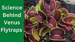 Were Does a Venus Flytrap Live?