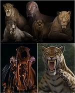 Were Sabertooths Pack Animals?
