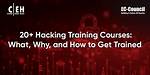 Were to Learn Hacking?