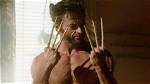 Were Wolverine Claws Bone?