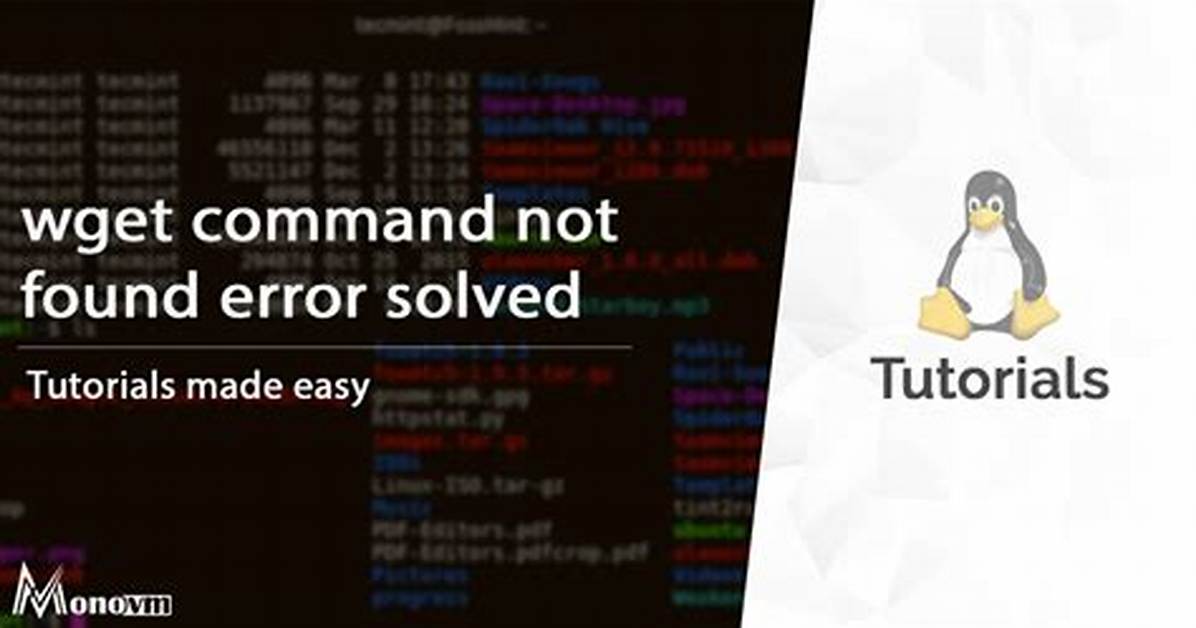Wget Command Not Found on Linux Server