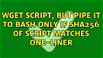Wget Script, but Pipe It to Bash Only If Sha256 of Script Matches One-Liner